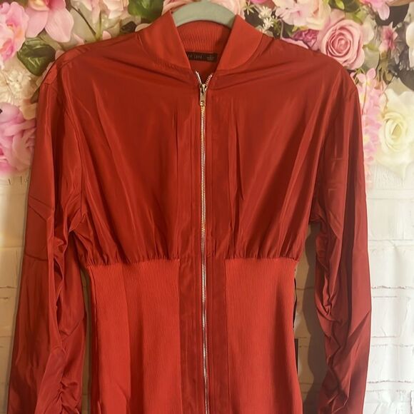 Mad for Love Long Sleeve Double Zipper Pencil Dress in the color Rust size Small - Picture 4 of 13